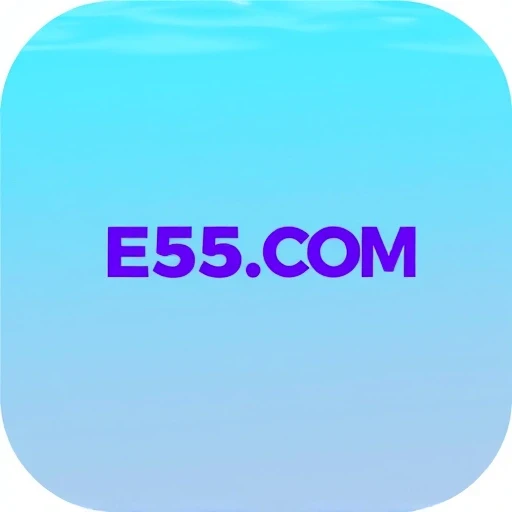 E55.COM